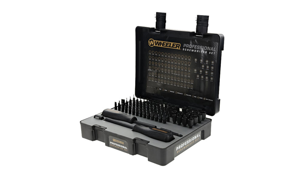 100 Piece Professional Screwdriver Set